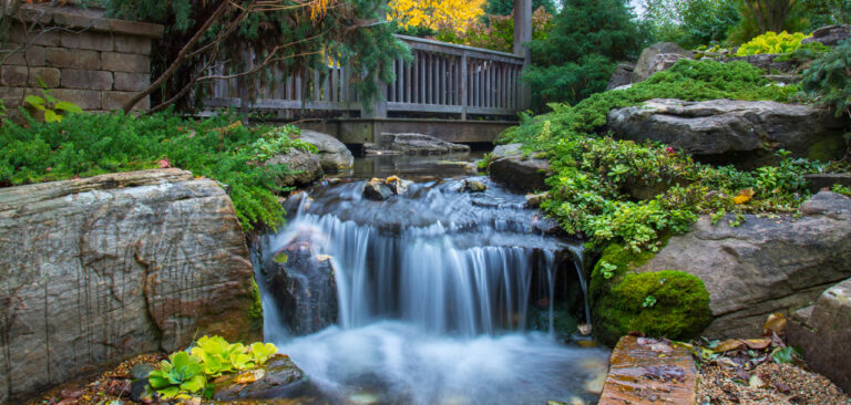 Flowing waterfalls, gentle streams and tranquility of nature with every pond