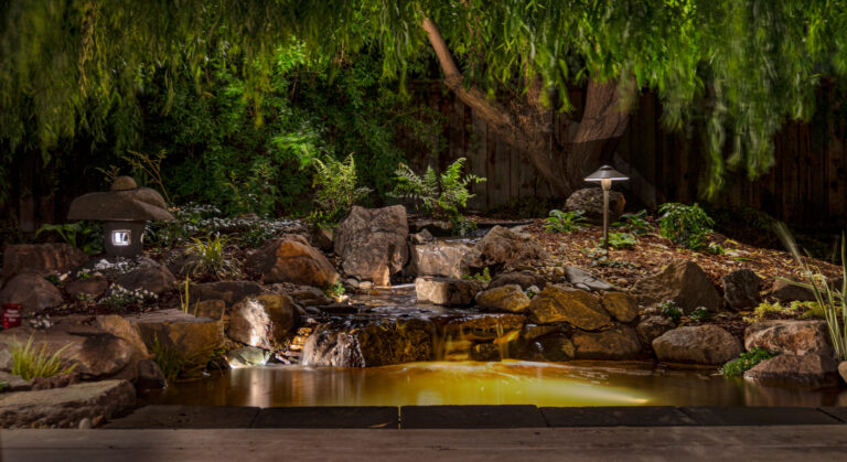 Beautiful koi pond at night in moutain house california