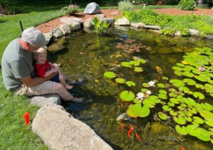 Parents with kid next to their koi pond
