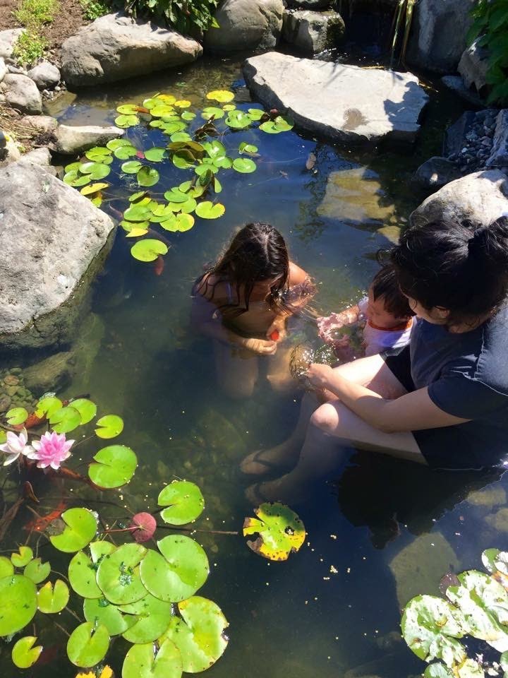 People enjoying a garden pond with lily pads in livermore california