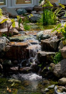 Garden rock waterfall with koi pond and plants and bog filter martinze ca