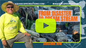 Pondless reconstruction video thumbnail