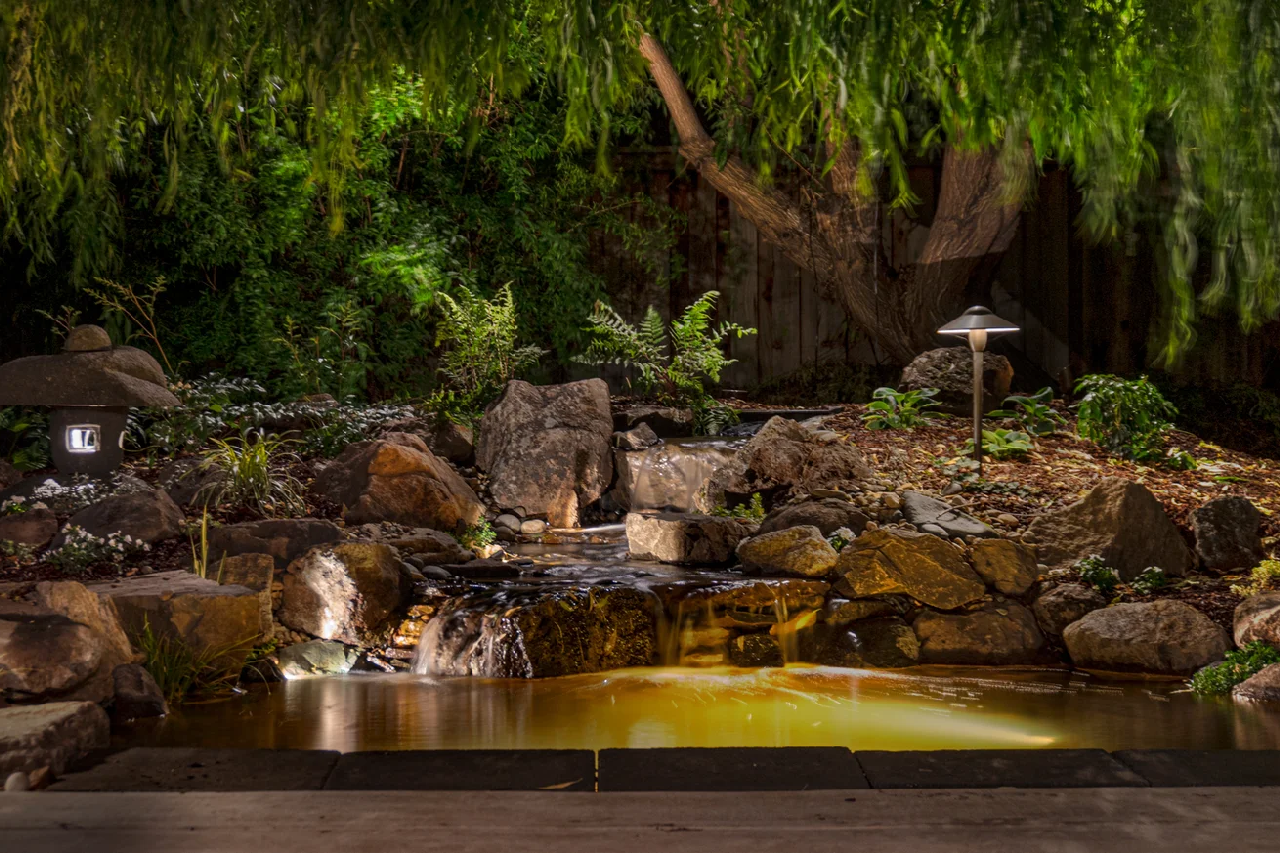 Backyard loi pond in livermore ca