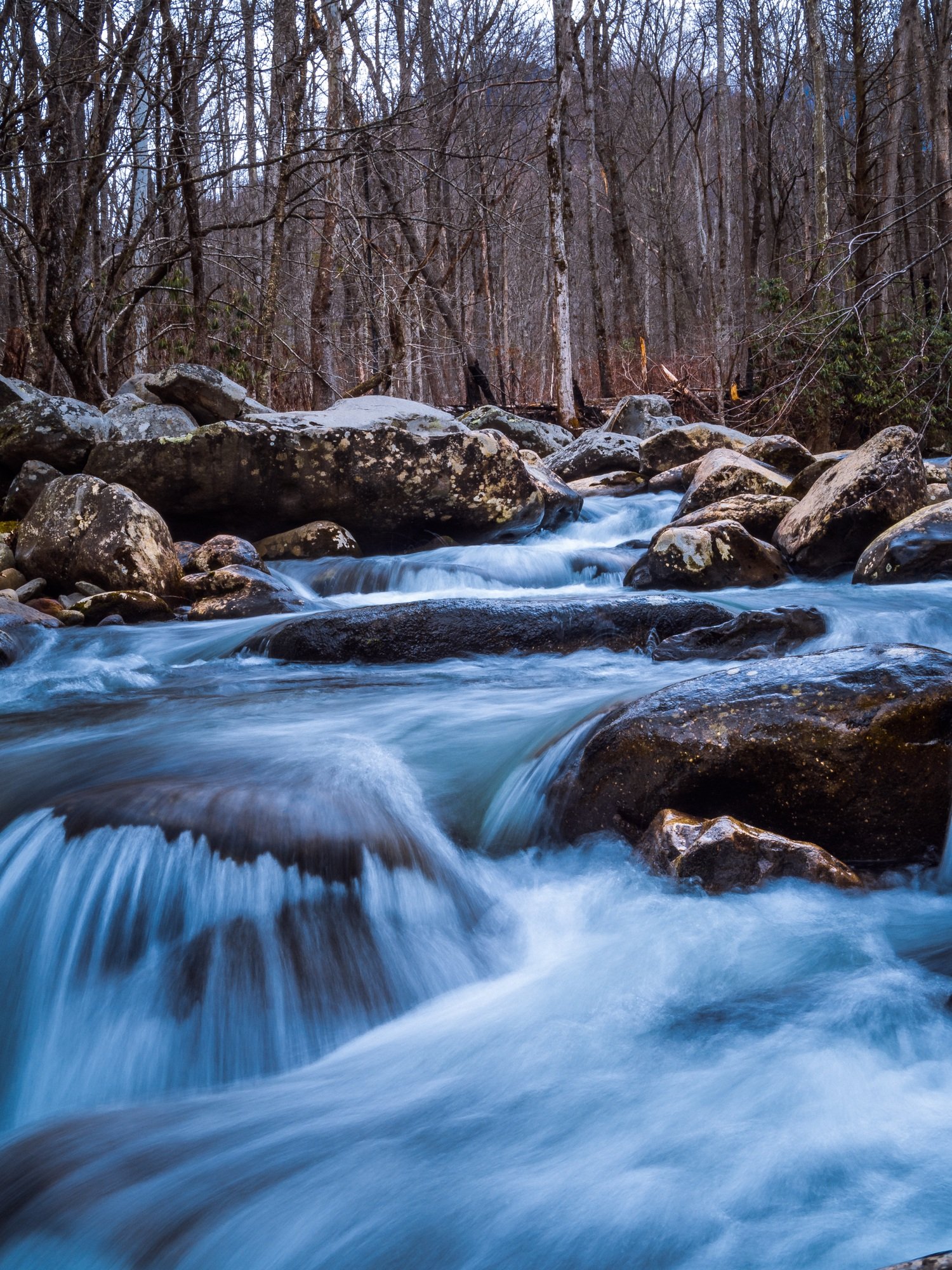 Stream flowing into pond