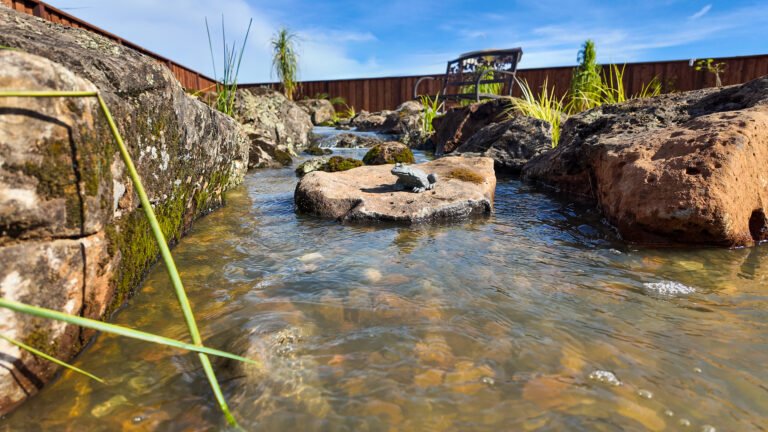 Pondless waterfall stream with frog build by aquascape creations