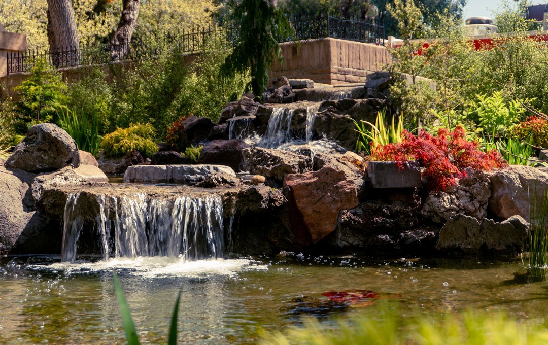 waterfall with lush greenery and flowers bay area.