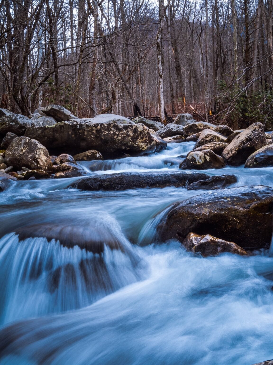 Stream flowing into pond