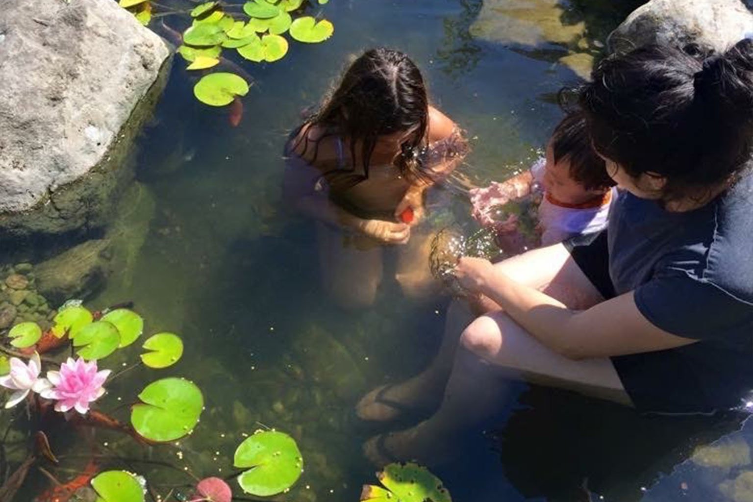 Family enjoying their recreation pond in saratoga ca