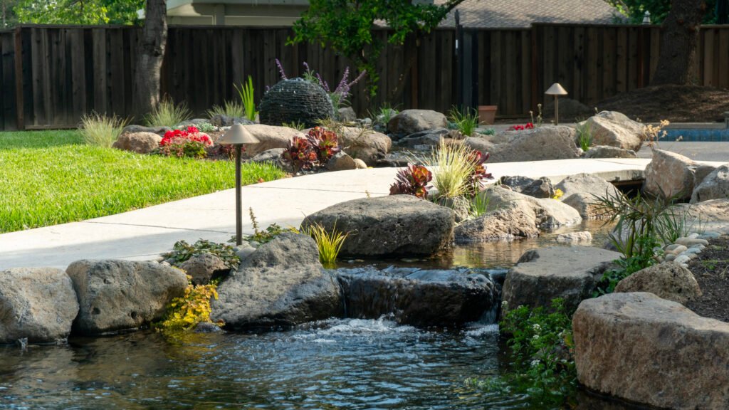 Medium size koi pond in livermore ca