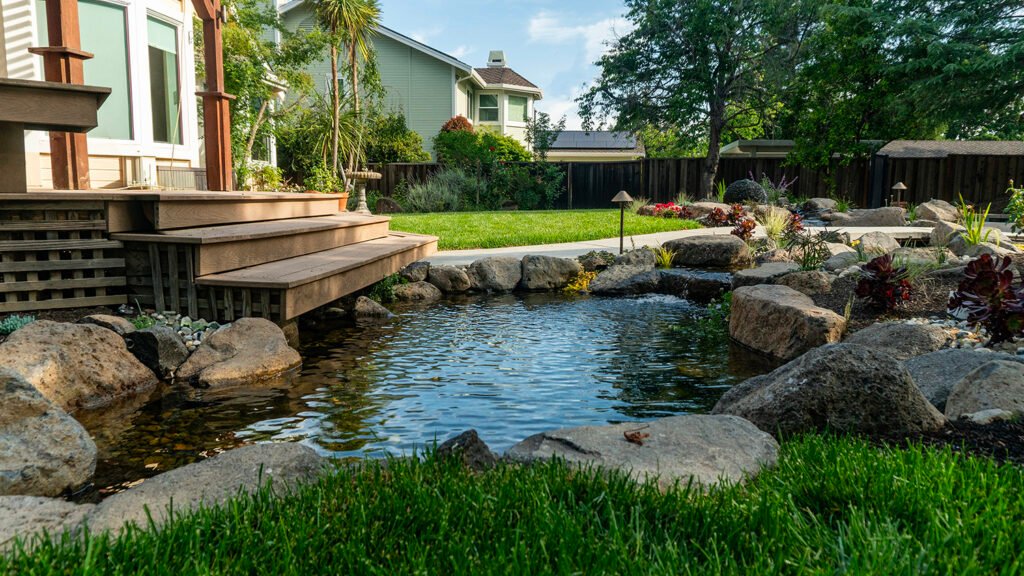 Medium size koi pond in livermore ca