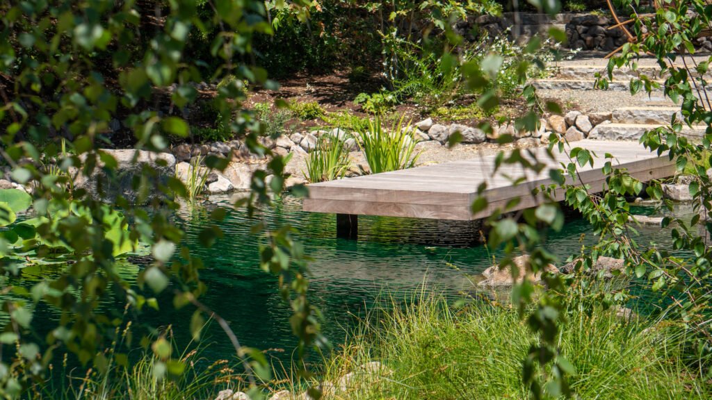 Beutiful wood deck over this large koi pond in moraga ca
