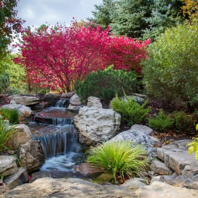 Disappearing Waterfall in alamo California